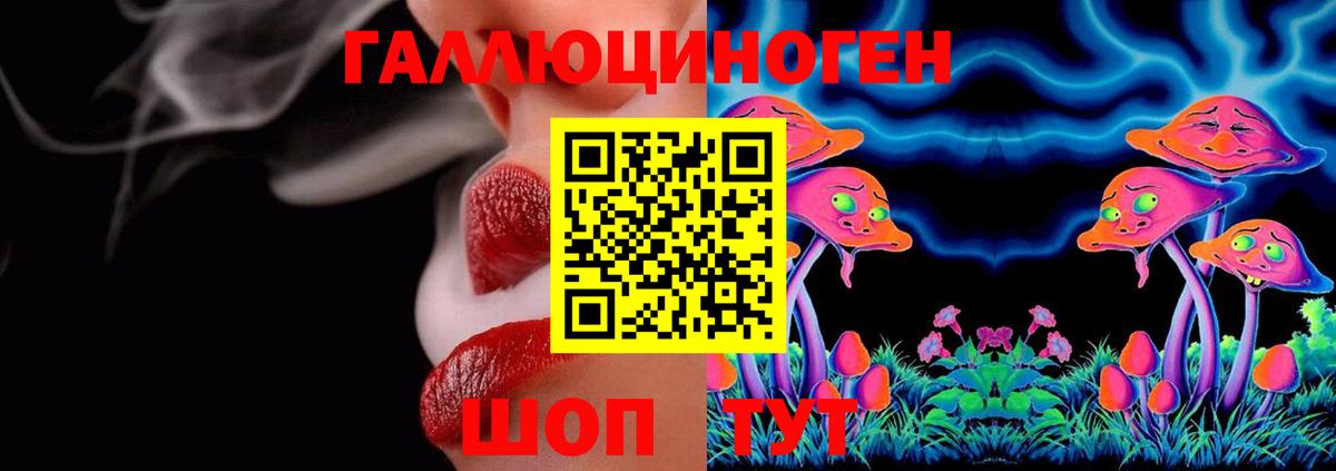 Псилоцибиновые грибы Psilocybine cubensis Мелеуз